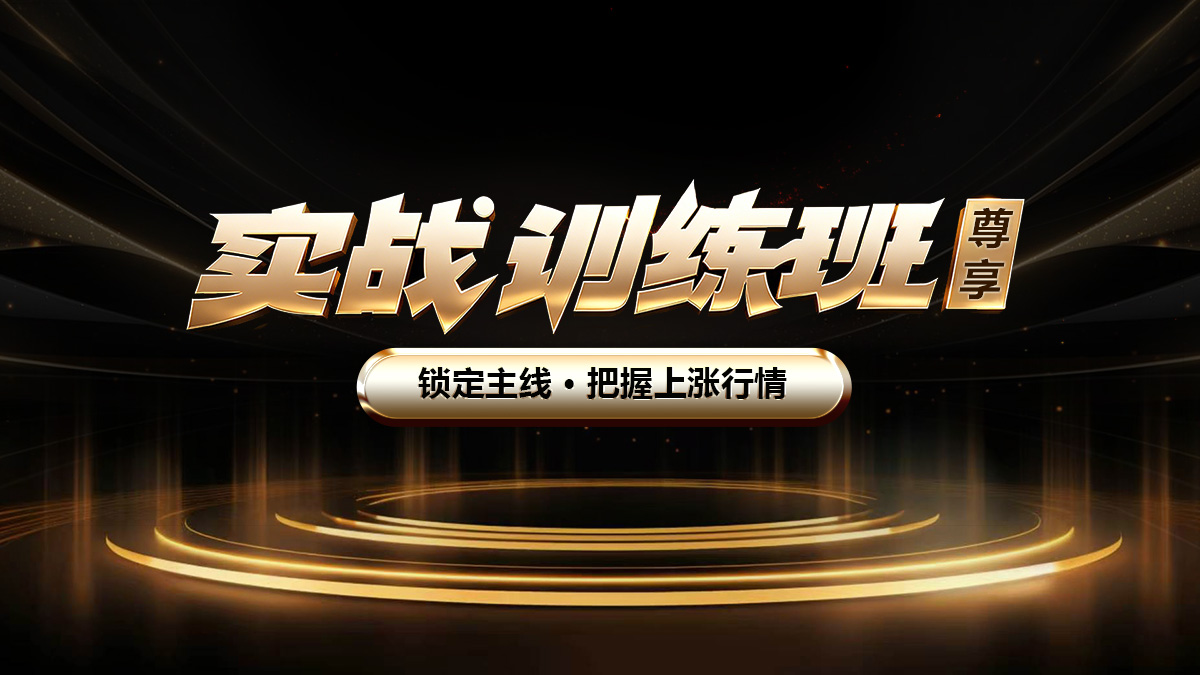 实战训练班尊享版回看